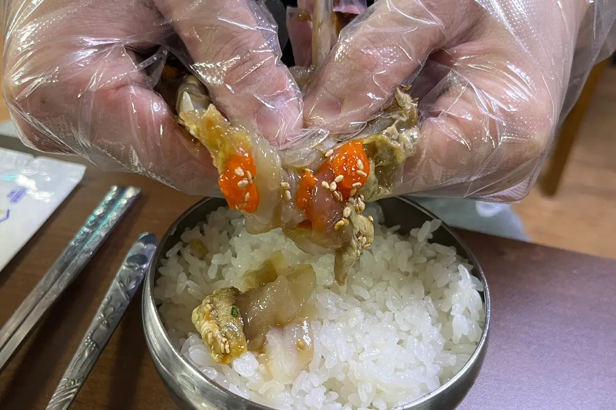 韓國 首爾醬蟹店 醬油螃蟹 推薦 2025