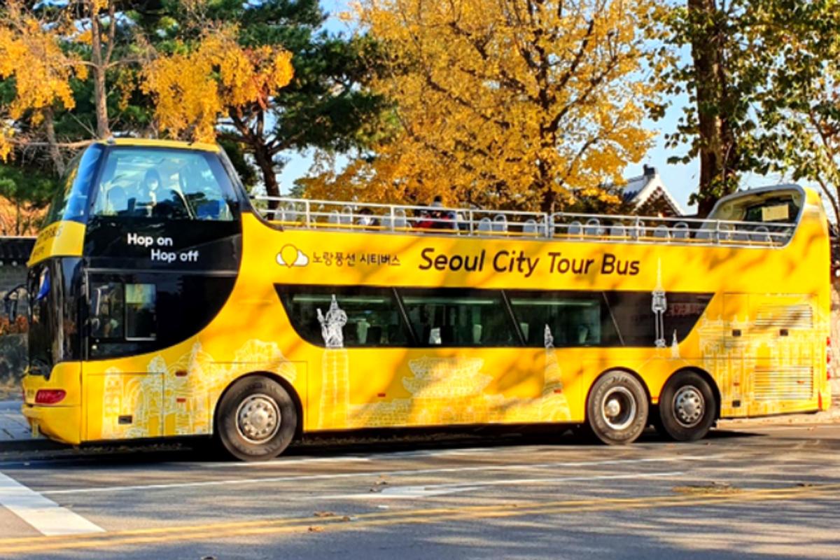 Bus Tur Kota Seoul berwarna kuning cerah di bawah pepohonan musim gugur yang berwarna.