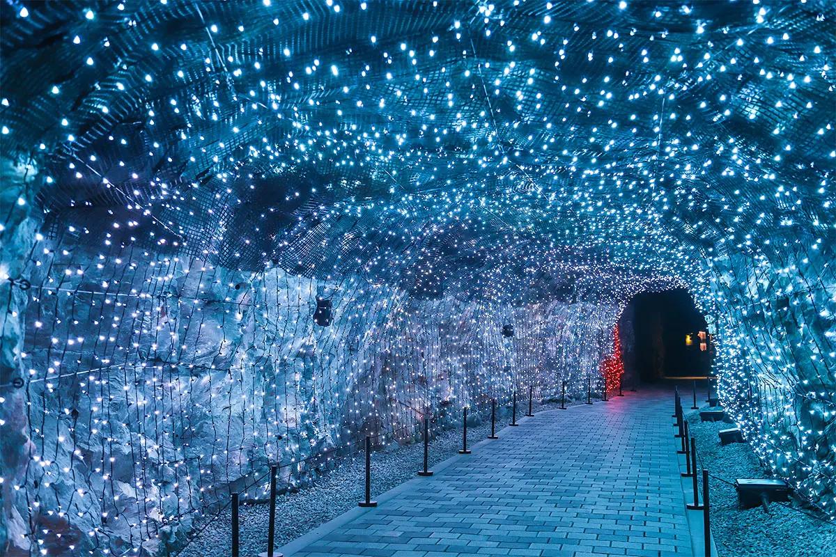 Chuyến tham quan thành phố Gwangmyeong hàng ngày bằng xe buýt (Khởi hành từ Seoul)