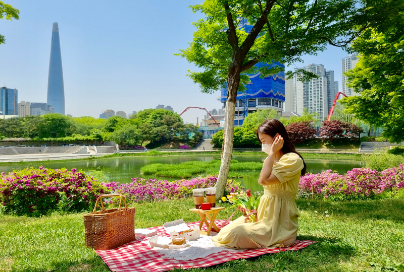 picnic ở Công viên Olympic, seoul hàn quốc 