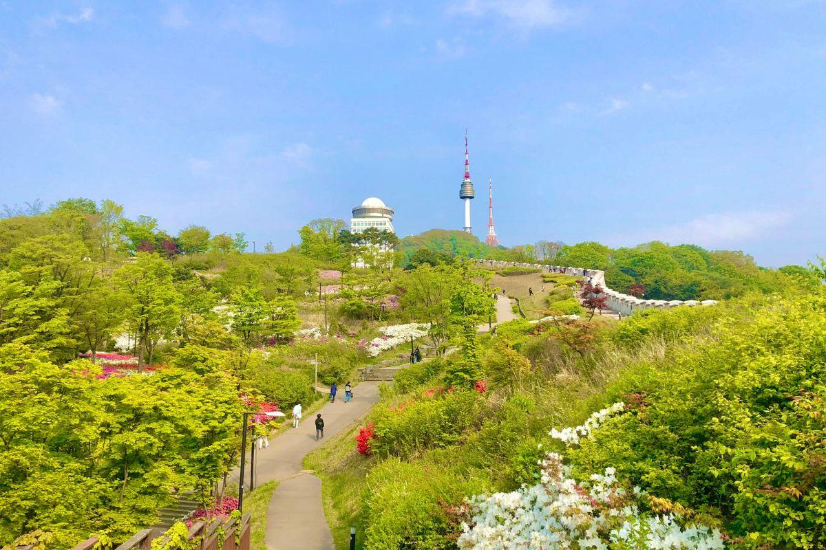 Công viên Namsan, địa điểm picnic lý tưởng nhất ở Seoul, Hàn Quốc 
