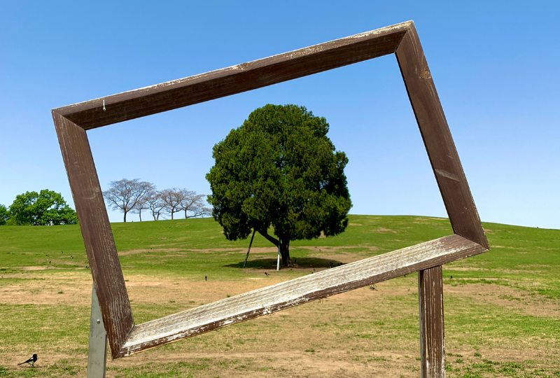 picnic ở Công viên Olympic, seoul hàn quốc 