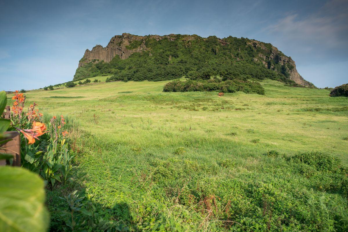 Seongsan Ilchulbong, địa điểm nhất định nên đến check in khi du lịch đảo Jeju, Hàn Quốc