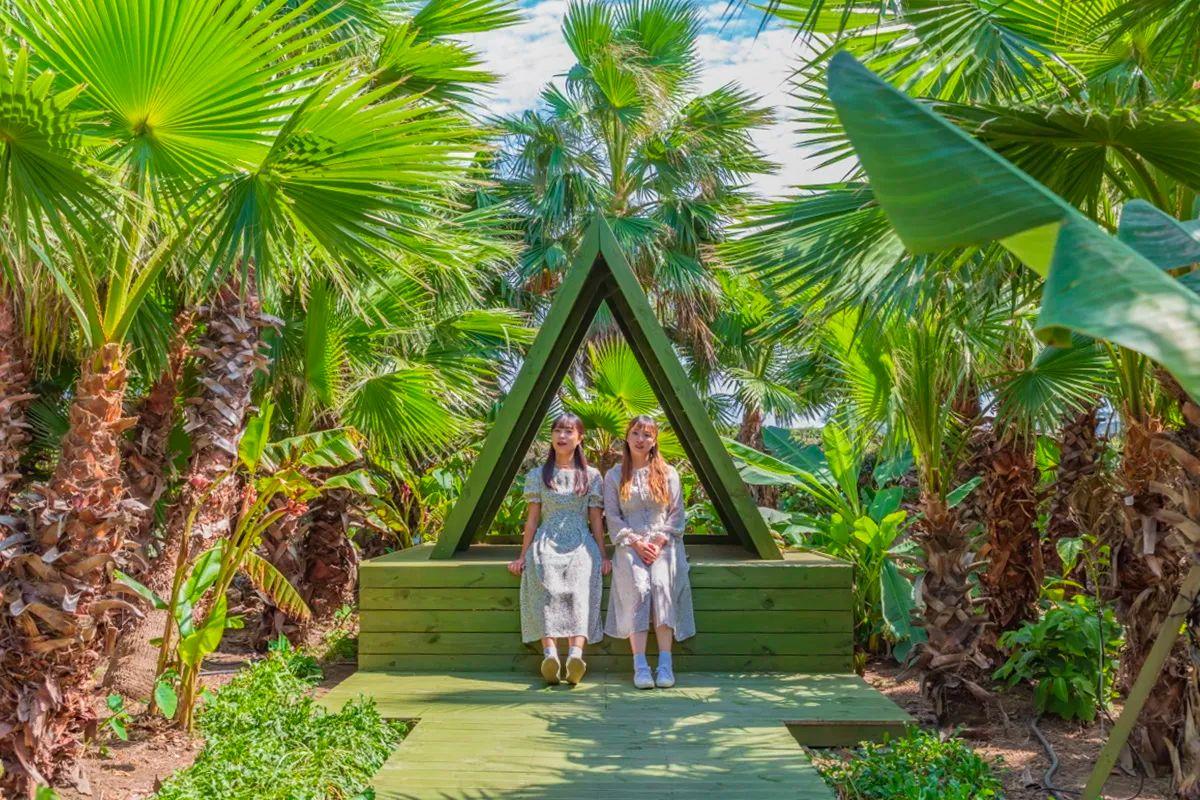 Đảo Udo, địa điểm nhất định nên đến check in khi du lịch đảo Jeju, Hàn Quốc