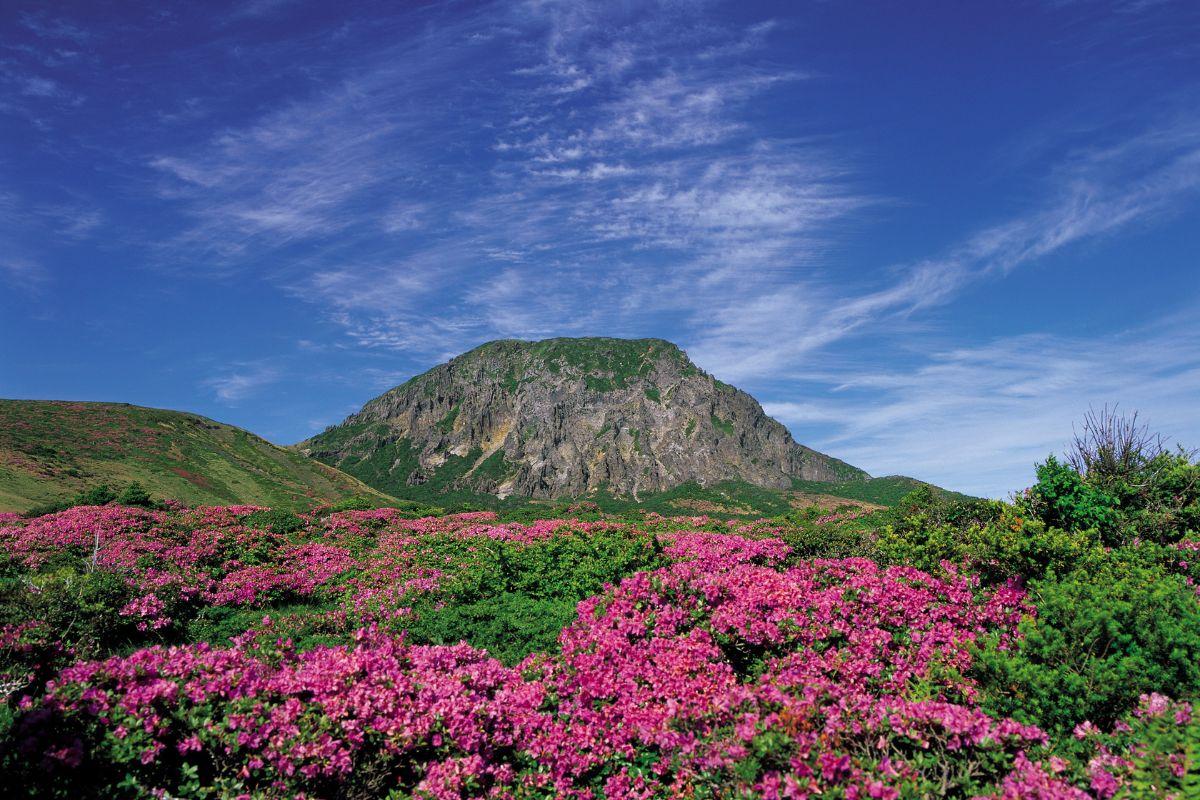 , địa điểm nhất định nên đến check in khi du lịch đảo Jeju, Hàn Quốc