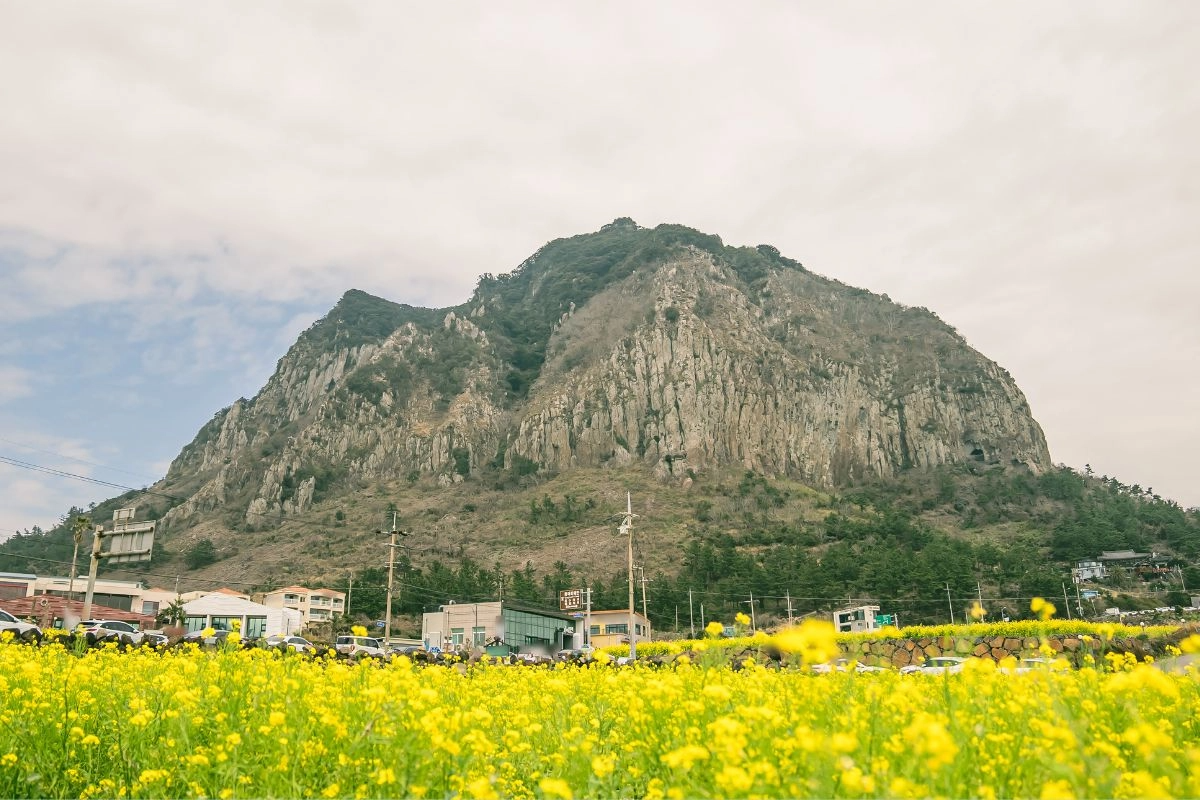 Núi Sanbangsan, địa điểm nhất định nên đến check in khi du lịch đảo Jeju, Hàn Quốc
