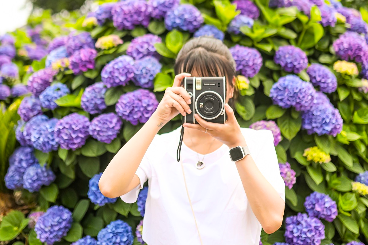 濟州8大繡球花景點