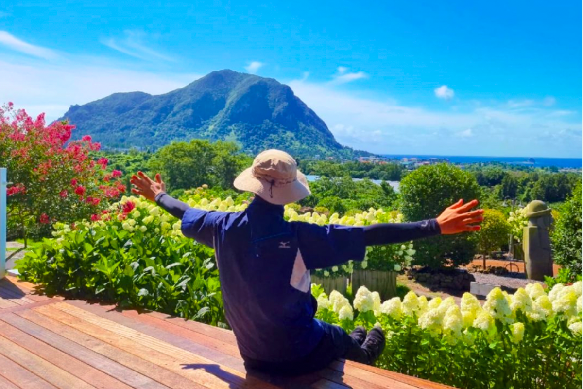 濟州旅行 濟州繡球花 濟州景點 Manor Blanc