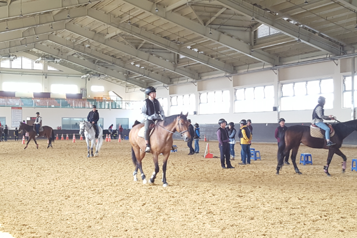 Trải nghiệm cưỡi ngựa ở Sangju, Hàn Quốc