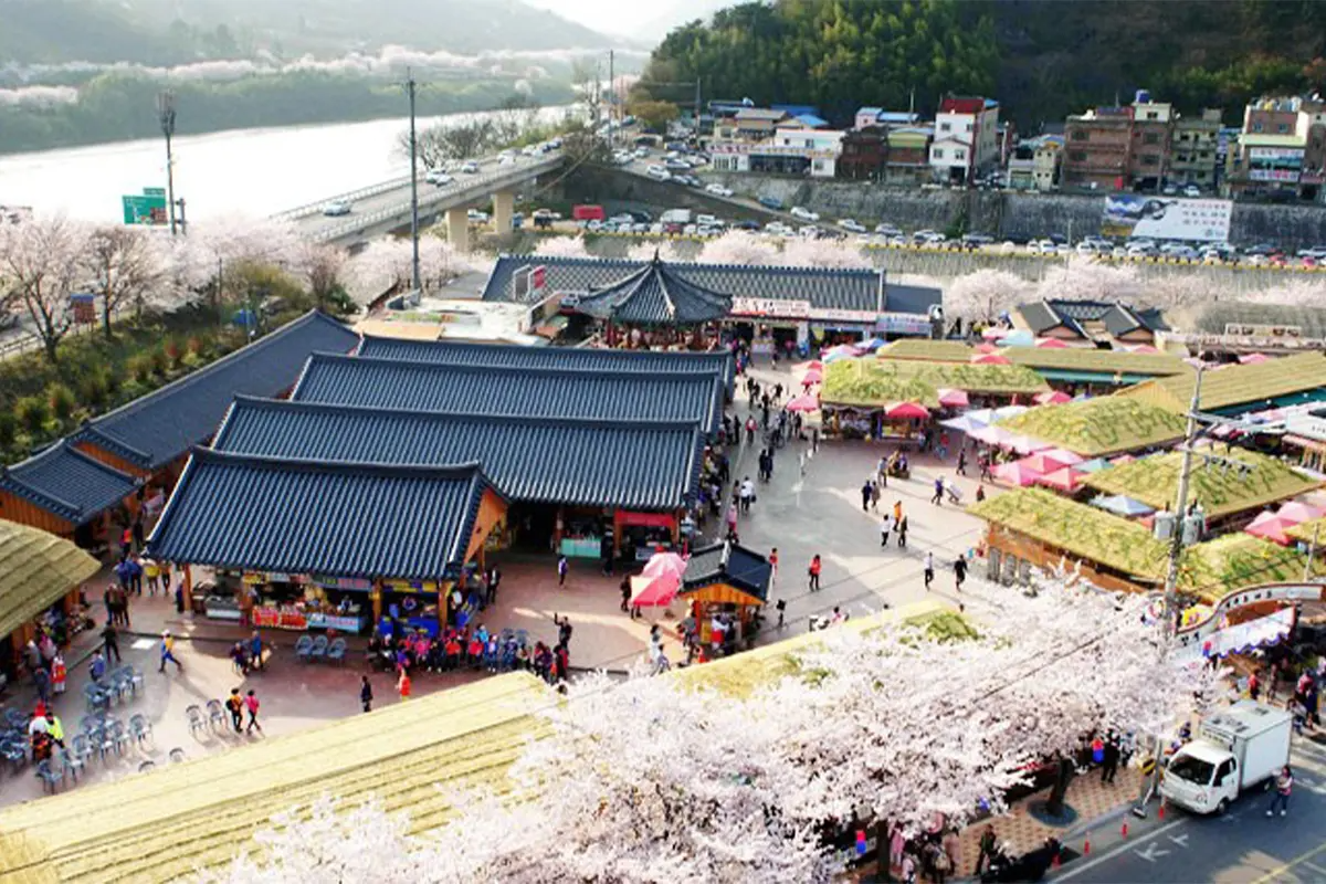 韓國花季 韓國花期 韓國四季 韓國賞花 賞花時期 花季 推薦景點 梅花