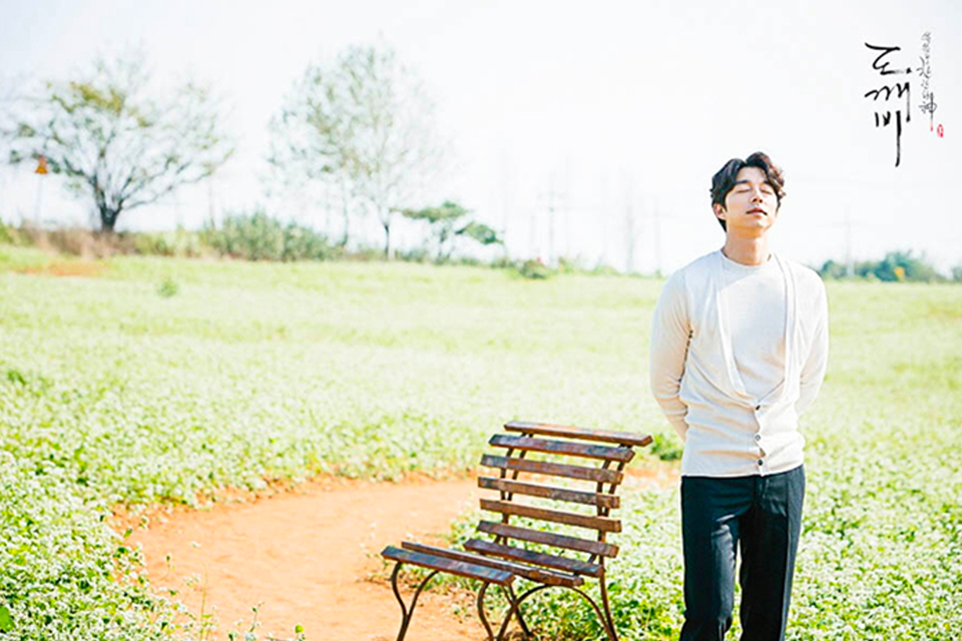 韓國花季 韓國花期 韓國四季 韓國賞花 賞花時期 花季 推薦景點 喬麥花