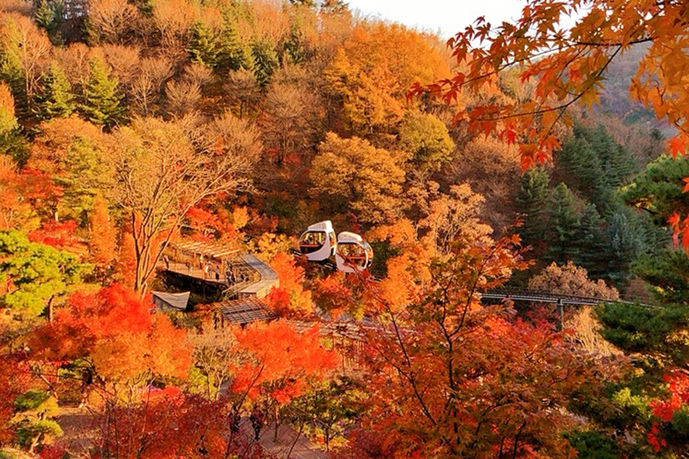 韓國花季 韓國花期 韓國四季 韓國賞花 賞花時期 花季 推薦景點 紅葉 楓葉 賞紅葉 賞楓
