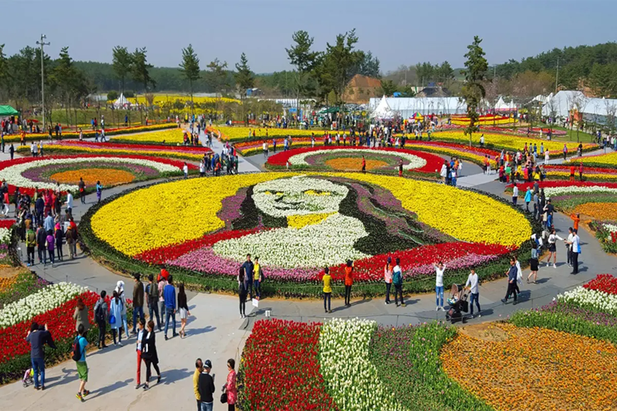 韓國花季 韓國花期 韓國四季 韓國賞花 賞花時期 花季 推薦景點 鬱金香