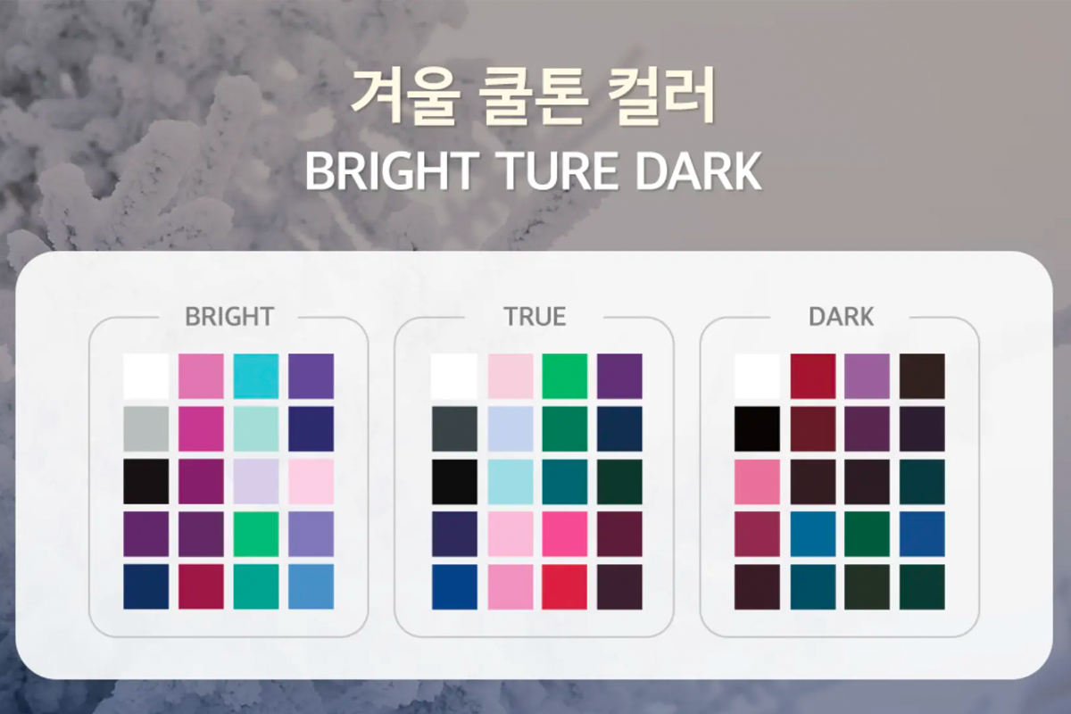 韓國 個人色彩 鑑定