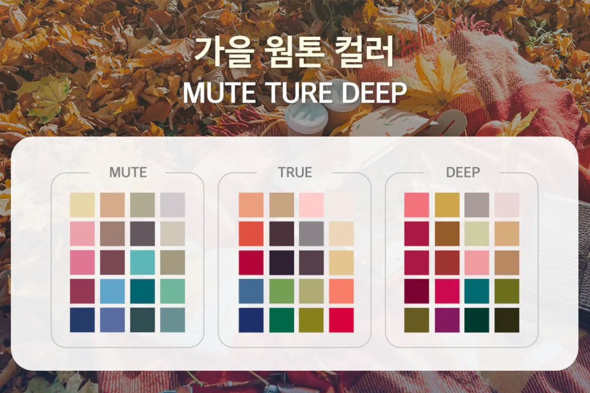 韓國 個人色彩 鑑定