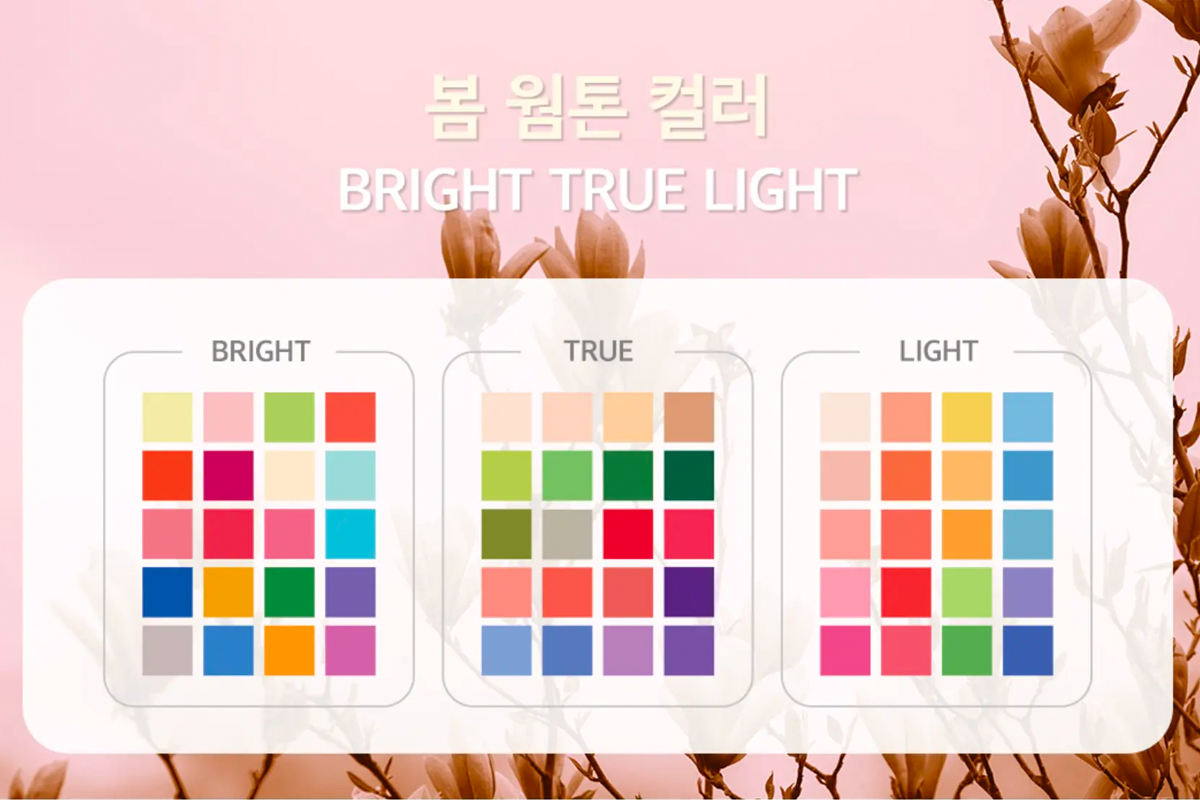 韓國 個人色彩 鑑定