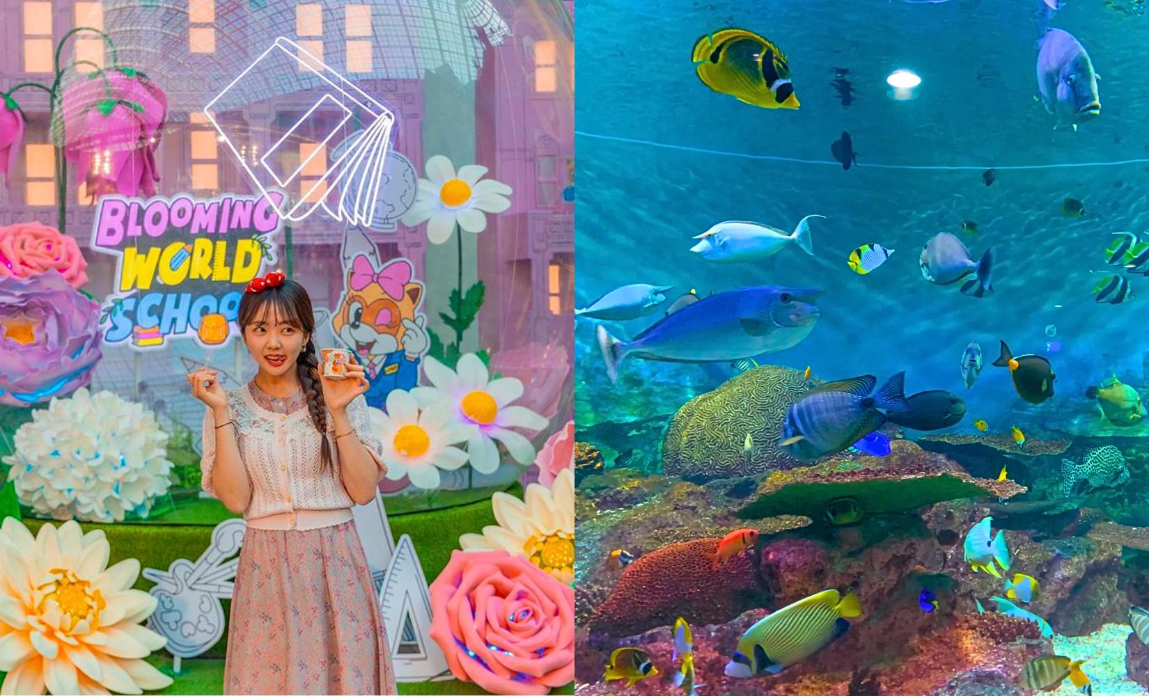 Các địa điểm vui chơi trong nhà đáng đến ở Hàn sợ gì nắng mưa 