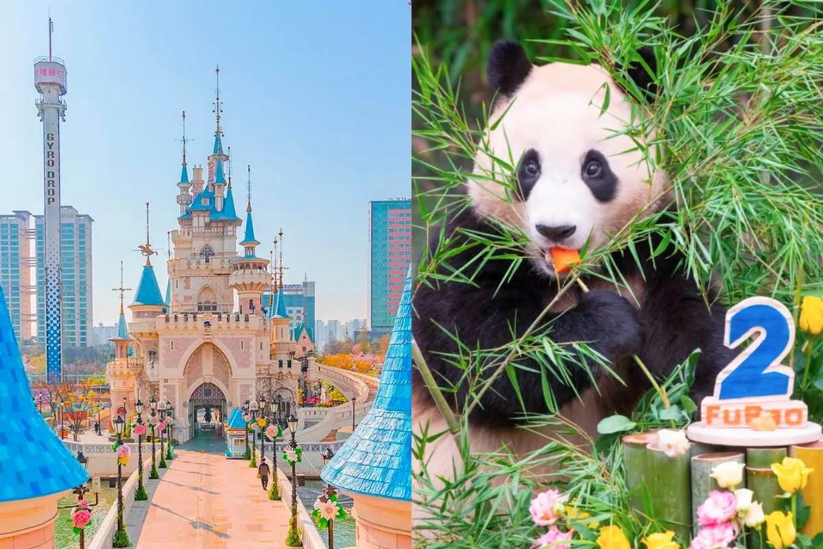 韓国旅行 ソウル ソウル旅行 漢江ウォーターアクティビティ 汝矣島イーランドクルーズ 漢江ヨット体験 漢江ツアークルーズ 漢江カヤック体験 ソウルロッテワールド 釜山ロッテワールド エバーランド ソウルランド カリビアンベイ THE HYUNDAI Seoul 青瓦台夜間観覧 青瓦台 昌慶宮 景福宮 公主韓服 韓服男 Hanboknam WATERBOMB BTS FESTA 南山タワー セビッソム ソウル市庁 東大門DDP ワールドカップ大橋 聖水洞 ポップアップストア K-pop 韓国アクティビティ