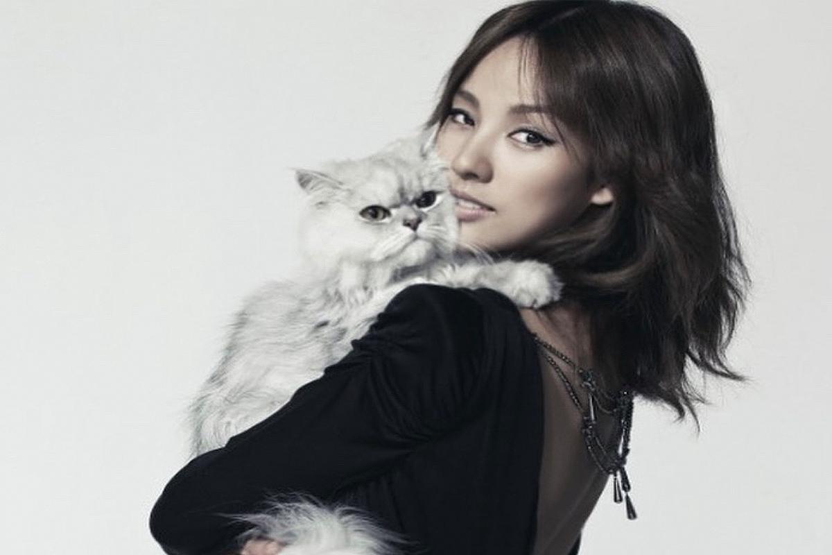 韓國攝影工作室內部畫廊一景，展示多樣化的攝影作品