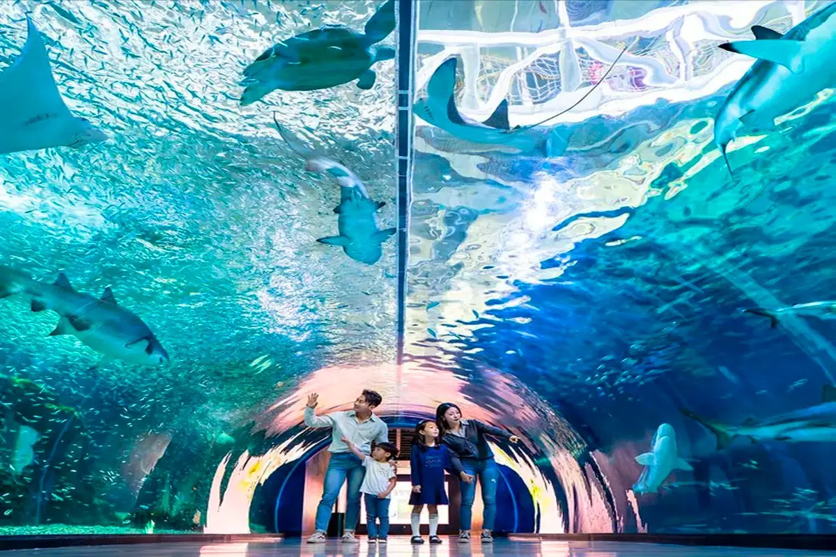 Tận hưởng các khu vui chơi trong nhà ở Hàn