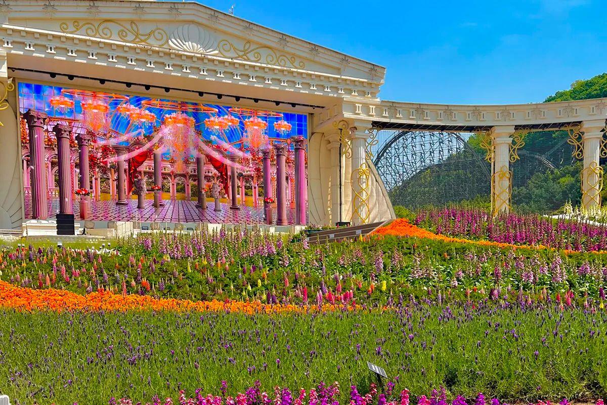 Du lịch Hàn thì nên đi Lotte World hay Everland? So sánh Lotte World và Everland! 