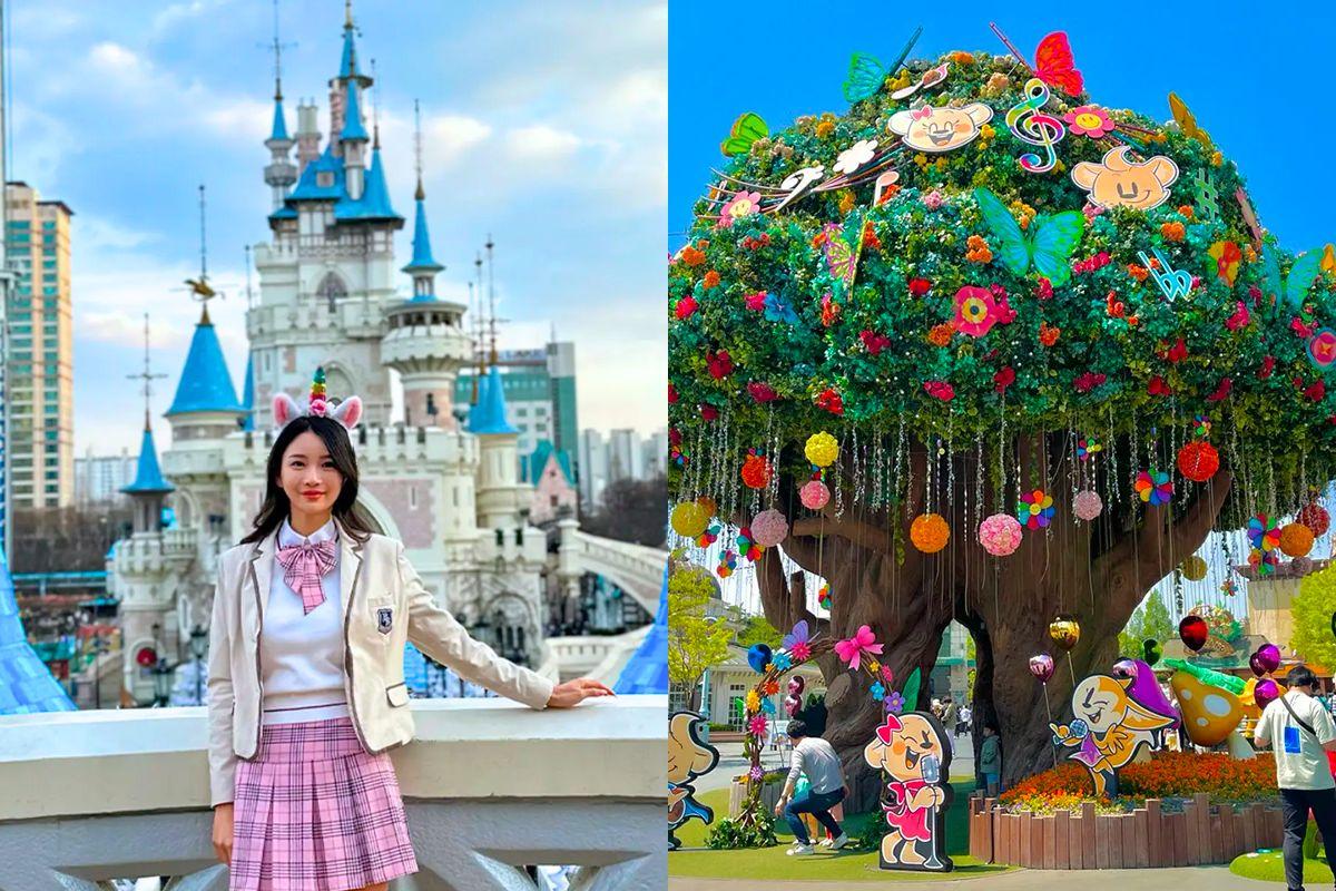 Du lịch Hàn thì nên đi Lotte World hay Everland? So sánh Lotte World và Everland! 