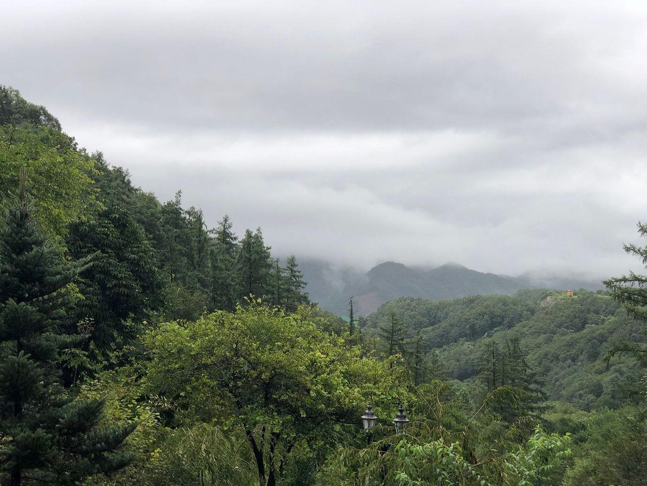 (คยองกีโด) ทำไมอะไรๆก็โซล? พบกับสถานที่ท่องเที่ยวในจังหวัดคยองกี ชื่นชมธรรมชาติและสัมผัสประสบการณ์แบบใหม่ที่หาไม่ได้ในโซล