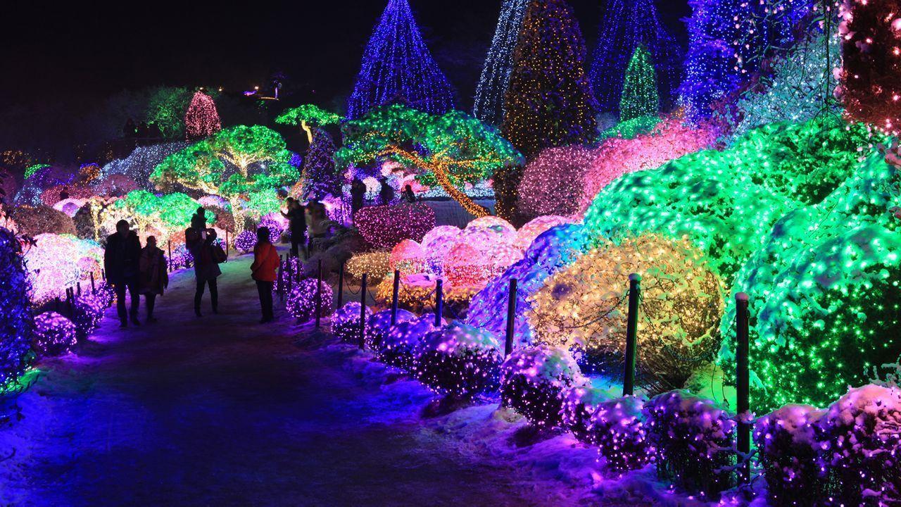 (คยองกีโด) ทำไมอะไรๆก็โซล? พบกับสถานที่ท่องเที่ยวในจังหวัดคยองกี ชื่นชมธรรมชาติและสัมผัสประสบการณ์แบบใหม่ที่หาไม่ได้ในโซล