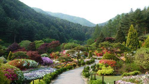 (คยองกีโด) ทำไมอะไรๆก็โซล? พบกับสถานที่ท่องเที่ยวในจังหวัดคยองกี ชื่นชมธรรมชาติและสัมผัสประสบการณ์แบบใหม่ที่หาไม่ได้ในโซล