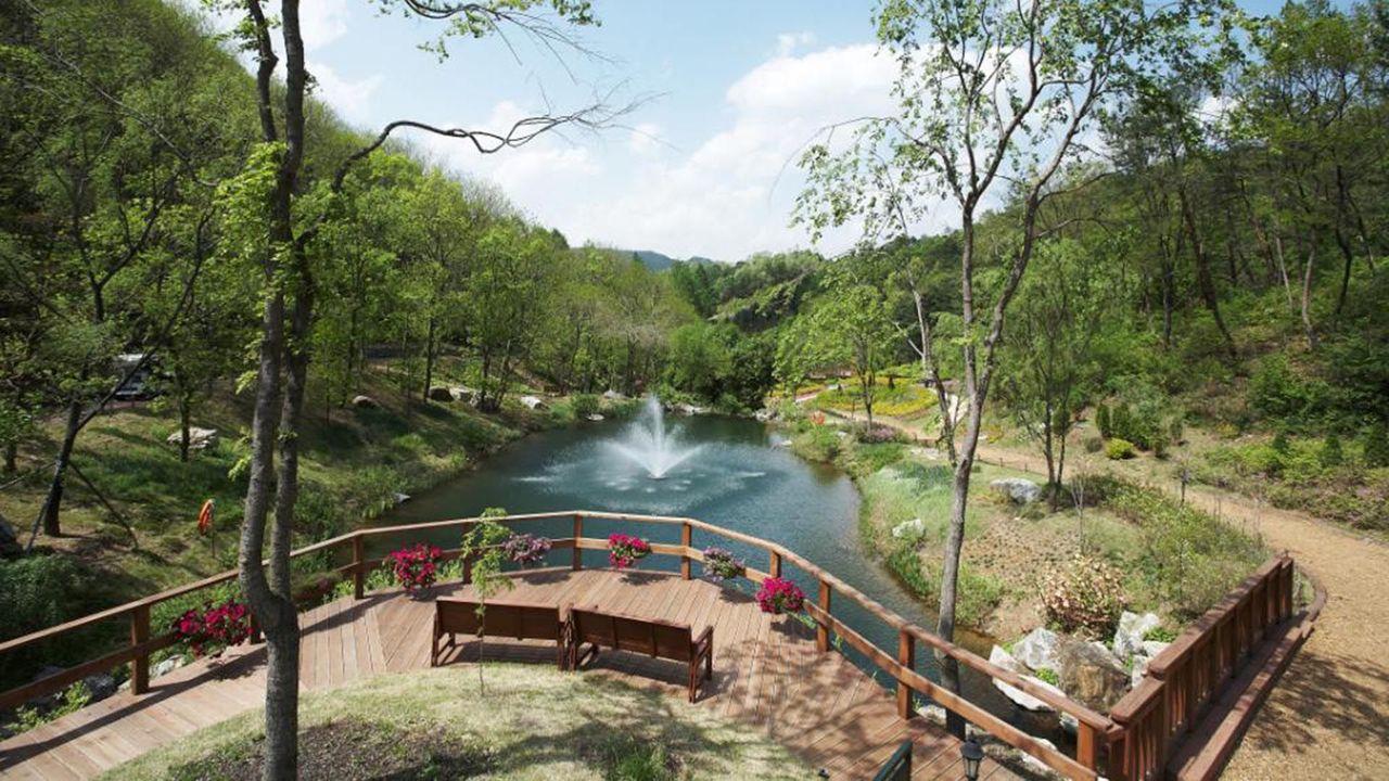 (คยองกีโด) ทำไมอะไรๆก็โซล? พบกับสถานที่ท่องเที่ยวในจังหวัดคยองกี ชื่นชมธรรมชาติและสัมผัสประสบการณ์แบบใหม่ที่หาไม่ได้ในโซล