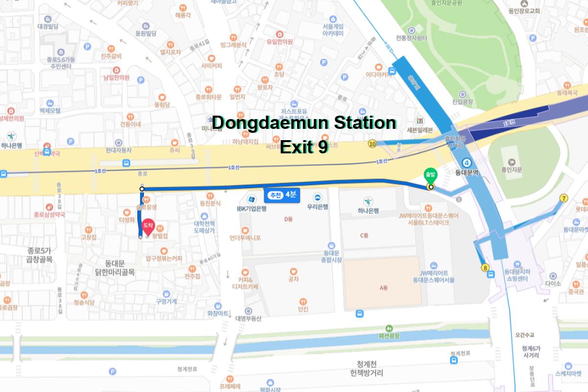 從地圖上看，東大門站9號出口附近的行走路線，前往明洞一隻雞（巨成店）的標記路徑。