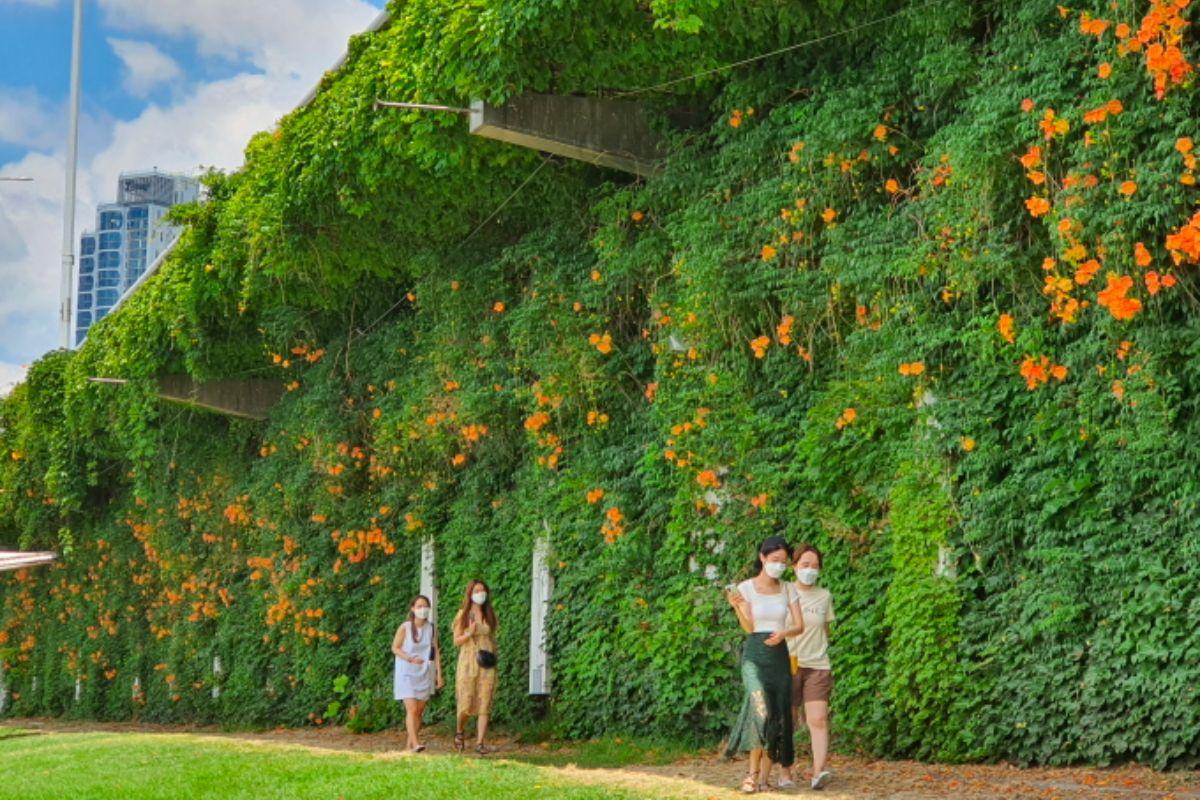 hoa Đăng tiêu tại Hàn, ttukseom hangang