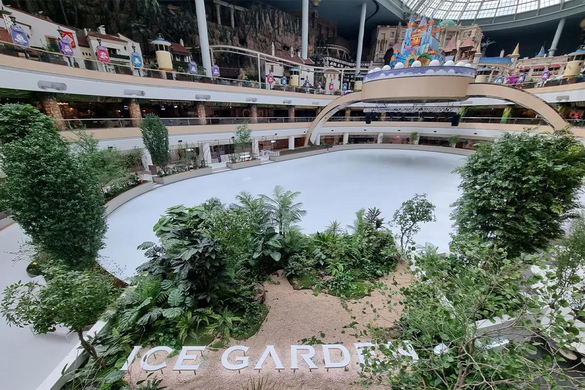Pista de Hielo Lotte World (Patines + Casco incluidos) | Consigue entradas para la pista de hielo Lotte World