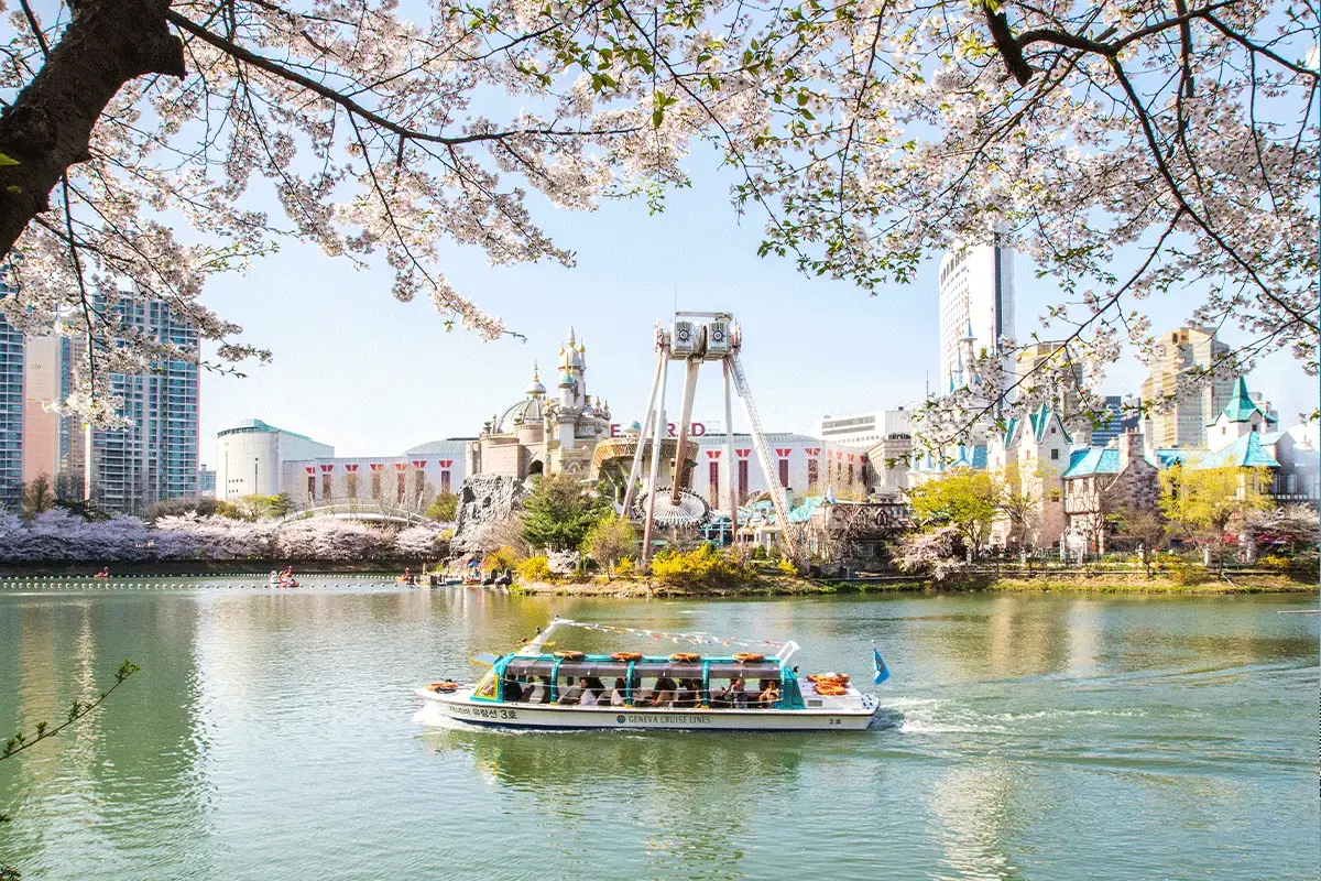 蠶室 石村湖 賞櫻勝地