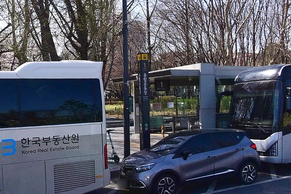 Tour Lễ hội Water Bomb 2025 và lướt sóng tại Sokcho