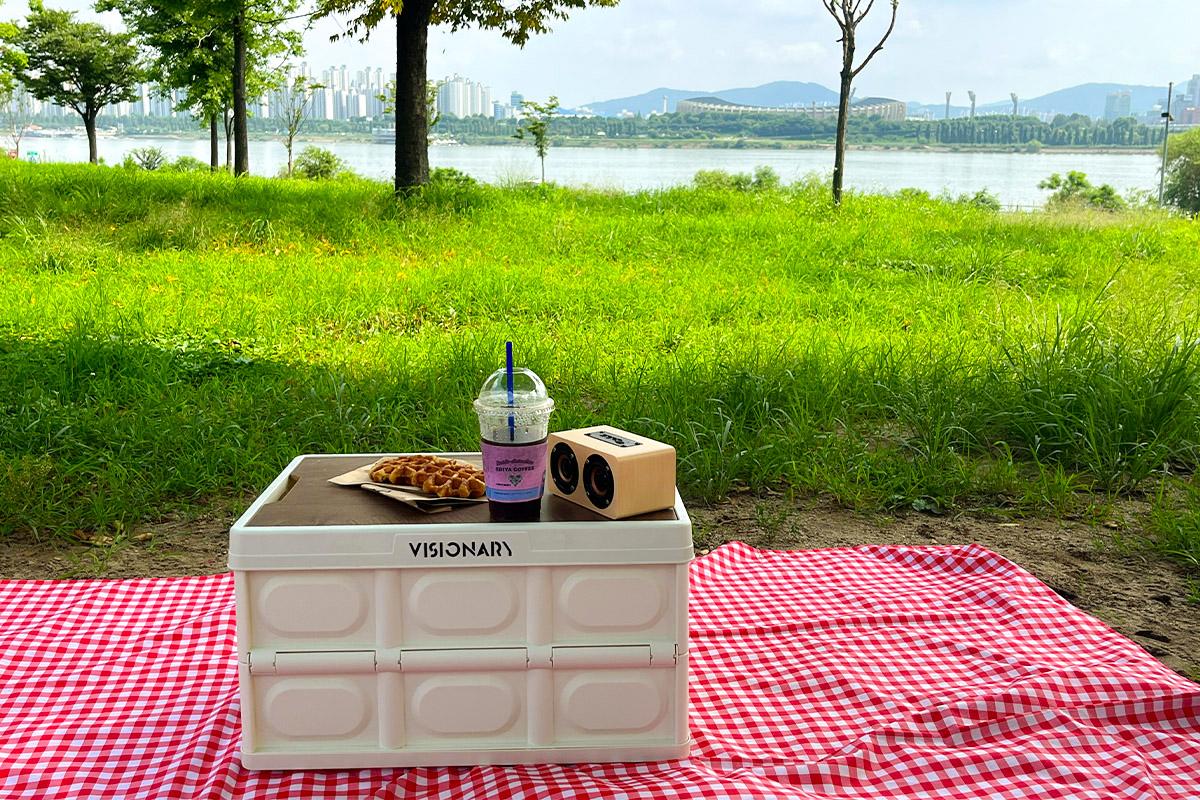 韓国旅行 ソウル 建大 漢江公園 ヒーリングテント ピクニック