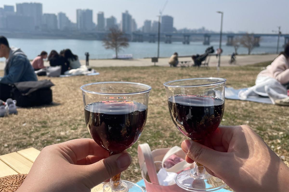 韓國野餐用品租借 首爾 漢江公園野餐 工具租借 優惠 價格 2025 夏天野餐 韓國野餐