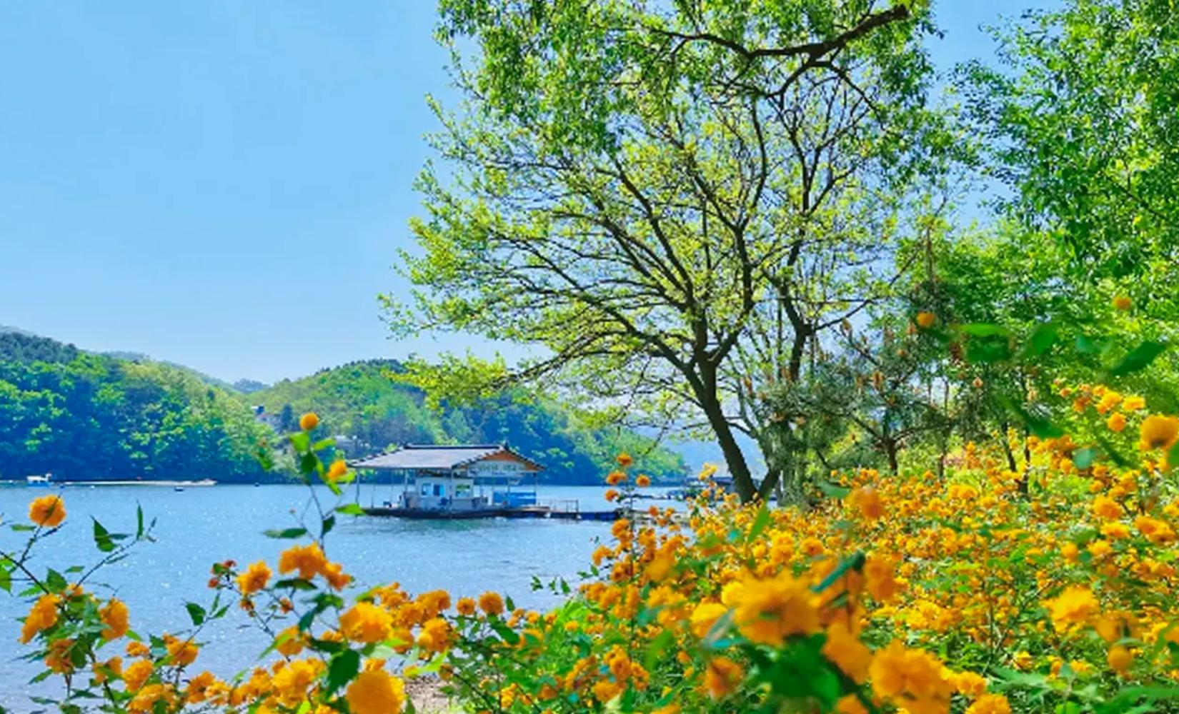 Tour 1 ngày khám phá Jade Garden, đảo Nami và Petite France