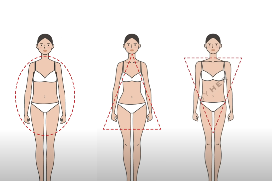 三種韓國女性體型：直筒型、波浪型、自然型的示意圖，展示了不同體型的特徵比例。
