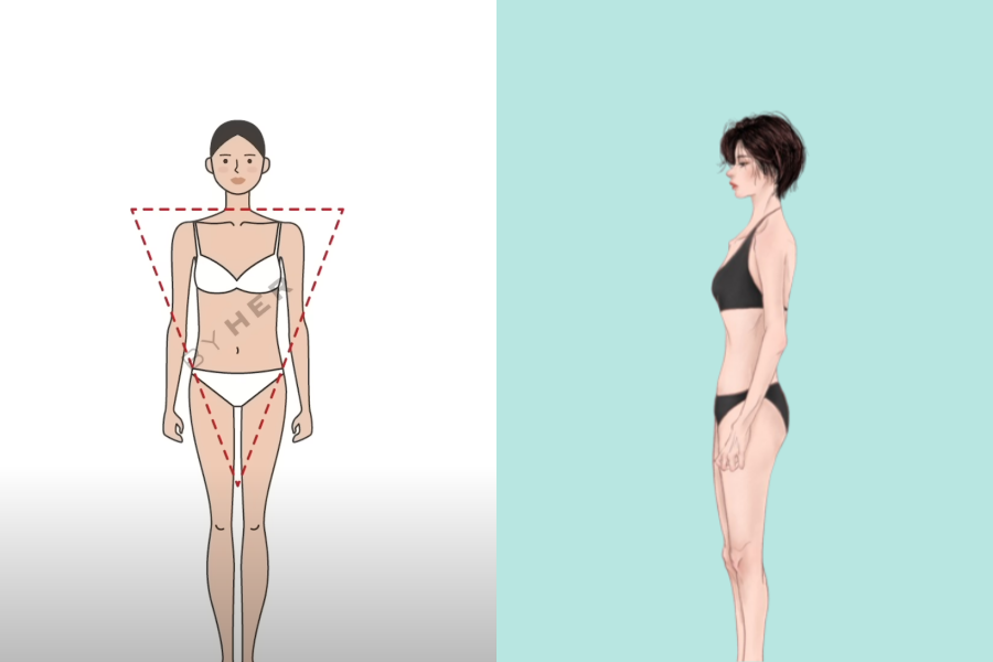 自然型體型的正面和側面示意圖，強調骨感和平坦的側面線條。