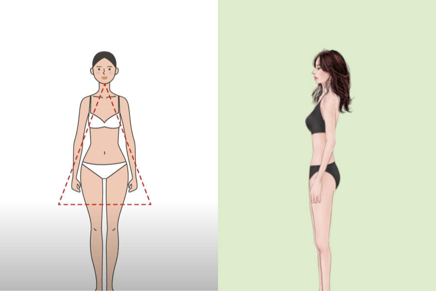 波浪型體型的正面和側面示意圖，顯示長頸、纖細鎖骨和優美腰線特徵。