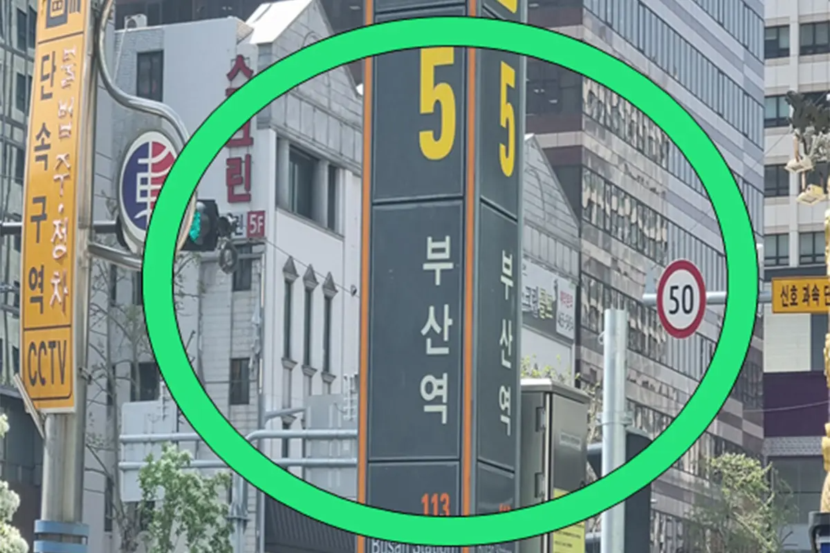 韓国旅行 大邱 チメクフェスティバル 韓国料理 韓国チキン 韓国アクティビティ 韓国ビール 韓国グルメ 大邱名物