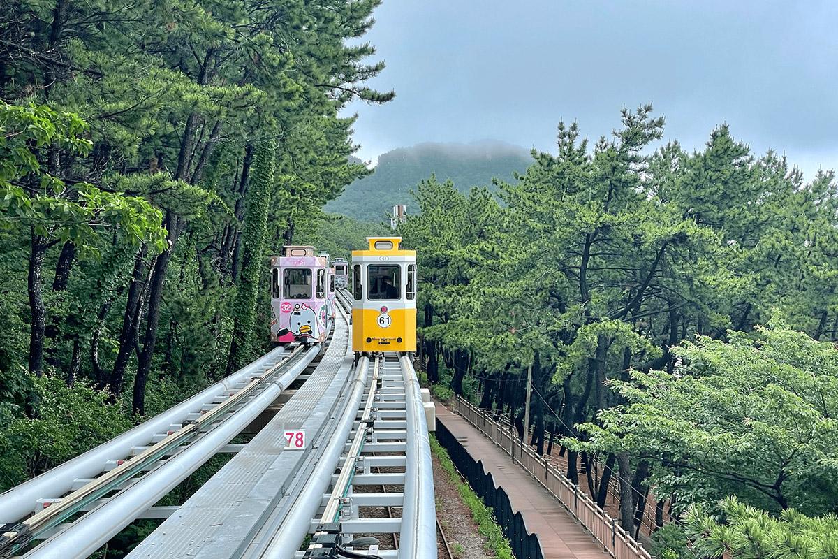 Красочные капсулы неба, движущиеся по живописному маршруту, окруженные зелеными деревьями и синее небо.