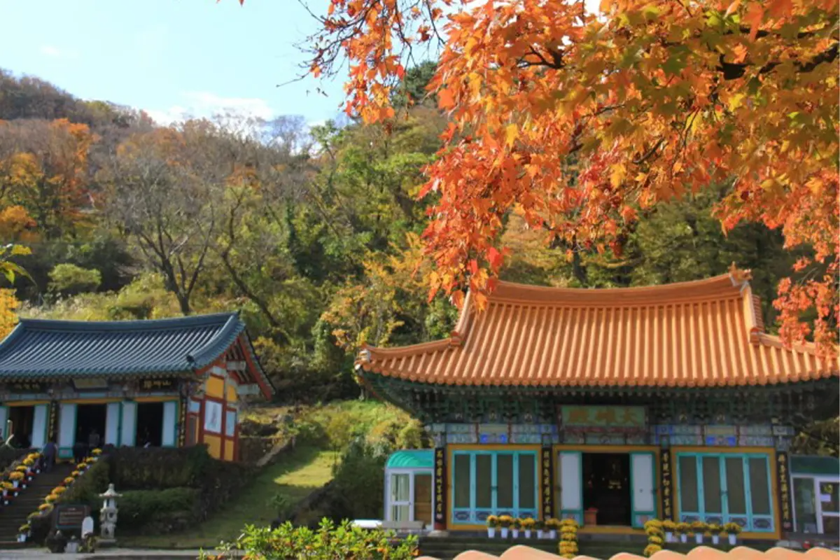 韓國旅行 首爾旅行 濟州旅行 韓國旅行團 首爾旅行團 韓國必去景點 首爾濟州韓國文化之旅 觀音寺 價錢 預約