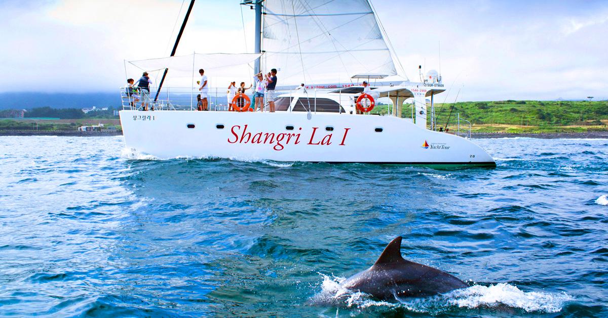 Jeju Island 6 Nights 7 Days K-POP Tour | Package Tour (Yacht, Airfare Included)