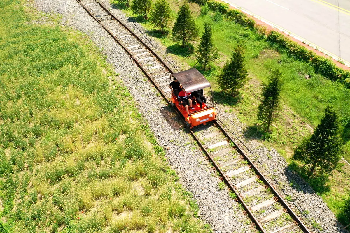 江村鐵路單車途經一片綠色草地和數條鐵軌道上的紅色車載遊客愉快地旅遊。