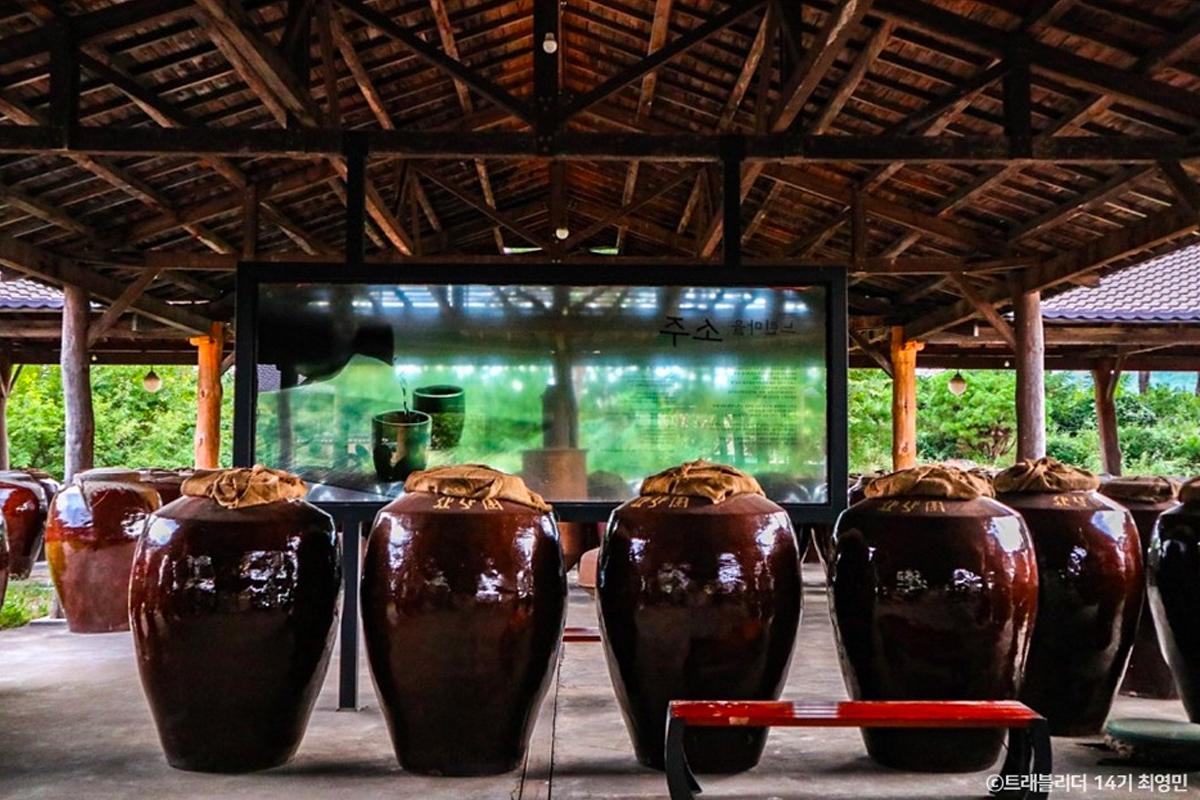 Deretan buah-buahan fermentasi dalam toples tanah liat di Museum Alkohol Tradisional Seon Sa won, Pocheon.