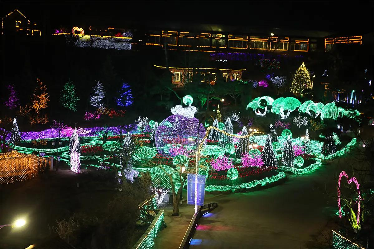 Pulau herbal yang dihiasi dengan cahaya malam yang memukau di Herb Island, Pocheon.