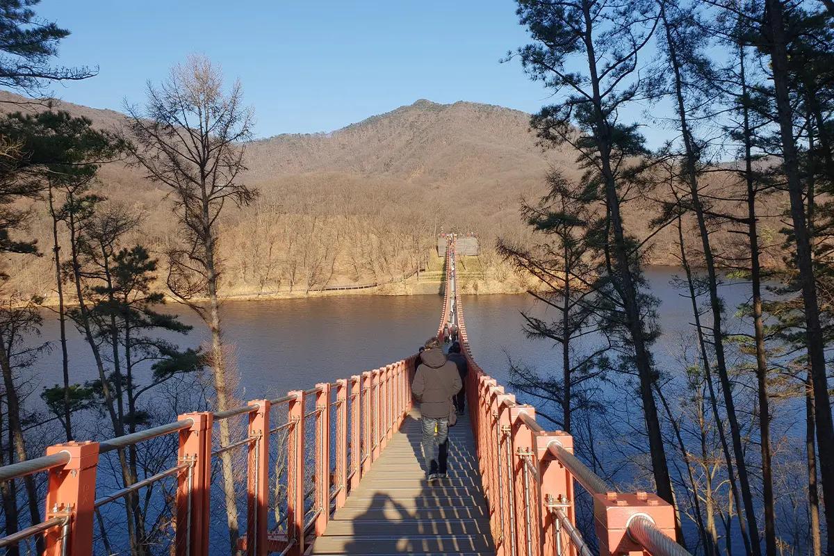 마장 호수 위를 걷는 사람들이 있는 긴 다리의 모습, 주변 산림과 호수 조망