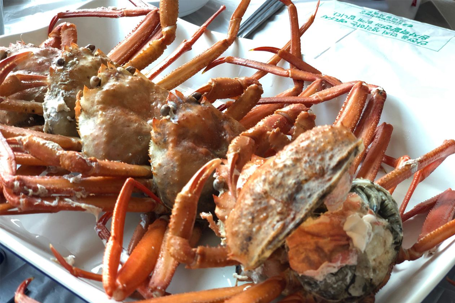 韓国、韓国旅行、韓国観光、釜山、プサン、釜山旅行、韓国グルメ、釜山グルメ、海雲台、ヘウンデ、海雲台グルメ、おすすめスポット、ローカル、海鮮料理、ホタテ、おしゃれ、韓国焼肉、サムギョプサル、マッチャン